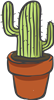 Cactus 6