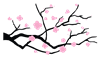 cherryblossom