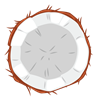 Coconut