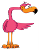 F_flamingo