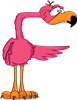 F_flamingo