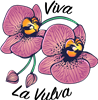 Feminism Viva La Vulva