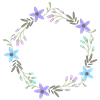 FloralFrame2.png
