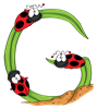 G_ladybugs