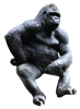 gorilla