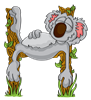 H_koala