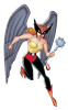 Hawkgirl Attack