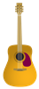hippieguitar
