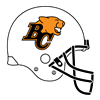 Lions Helmet