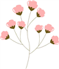 Little Pink Flower Branch