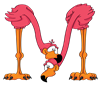 M_flamingo