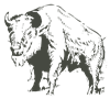 MP_Buffalo