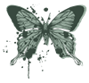 MP_Butterfly2