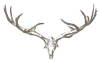MP_DeerHead