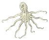 MP_octopus