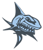 MP_shark