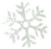 MP_Snowflake