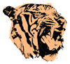 MP_tiger