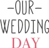 Our Wedding Day
