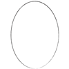 Oval Frame 1