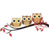Owl Branch