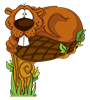 P_beaver