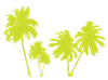 palmtrees