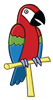 Parrot