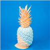 Pinapple Photo