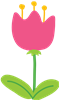 Pink Tulip Flower