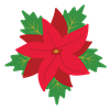 Poinsetta