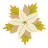 poinsetta2