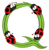 Q_ladybugs