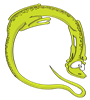 Q_lizard