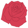 rose(1)