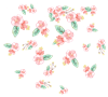 Scattered Flowers