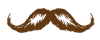 Shaggy Moustache