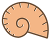 Snailshell 2