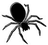 spider4