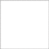 Square Border Dotted
