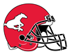 Stamps Helmet
