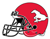 Stamps Helmet