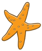 starfish-1