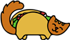 Taco Cat
