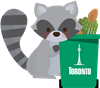 toronto-racoon.png