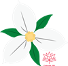 Trillium.png