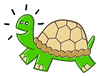 turtle