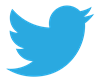 Twitter Bird