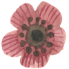 Watercolor Poppy Flower