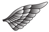 Wings_2